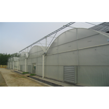 3m~6m height 4m space High Quality Garden Greenhouse