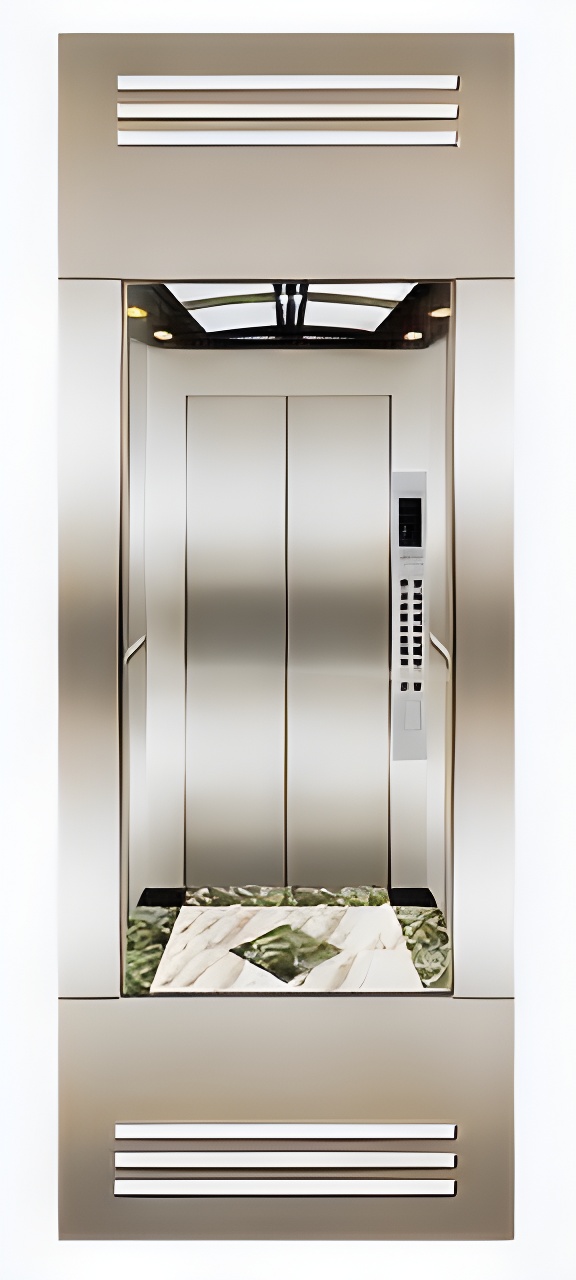 Silver and Golden Capsule Elevator for Passenger Lift