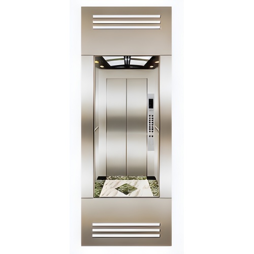 Silver and Golden Capsule Elevator for Passenger Lift