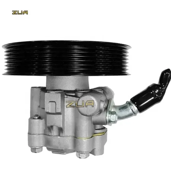 Nissan NP300 NAVARA D40 Auto Parts - Best Price Power Steering Pump 49110-EA200/49110-JR50