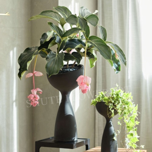 Black Indoor Plant Pot Black Tall Indoor Plant Pots Planters With Drainage Supplier