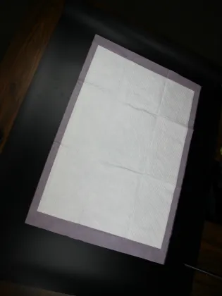 Hospital Medical Disposable Under Pad High Absorbent