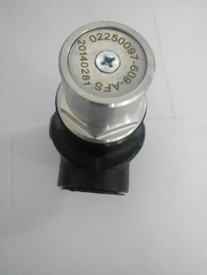 Pressure Maintenance Valve 02250097-609 Sullair Parts for Compressor Valve