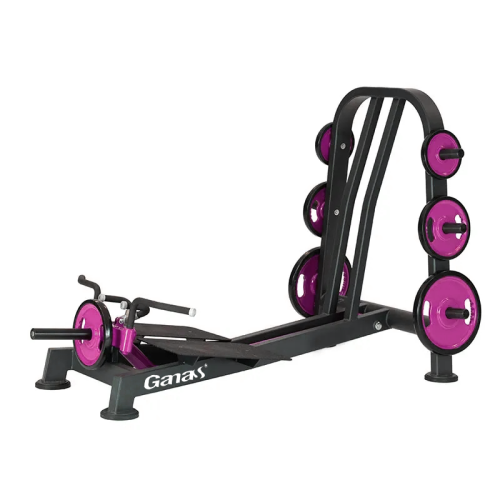 Wholesale Commercial Super Dorsy Bar Strength Equipment