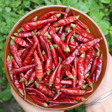 Hochwertige Chili -Single -Gewürze und Kräuterpfeffer