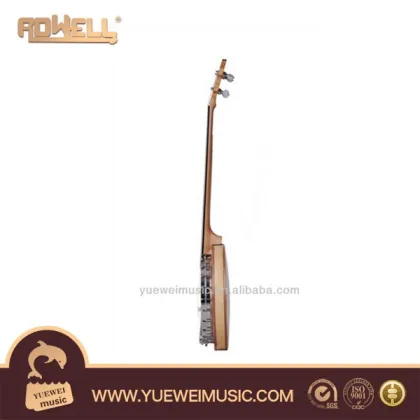 Remo Banjo ,Quality String Instrument Musical Instrument