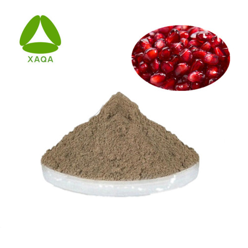 Pomegranate Peel Extract 90% Ellagic Acid Powder
