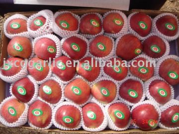 Red delicious apple