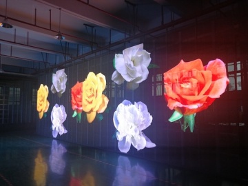 Creative indoor and semi outdoor transparency led wall
