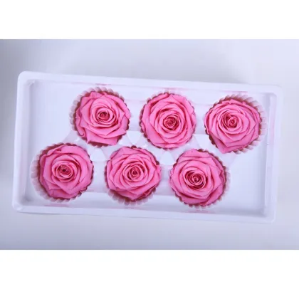 Wholesale Everlasting Rose Heads - Affordable Preserved Flowers