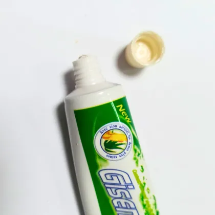 Giseng Aloe Toothpaste and Parodontax Clean Mint Toothpaste