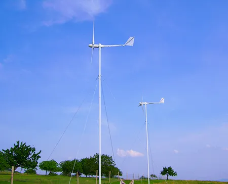 Wind Turbine Generator ECO-2000W