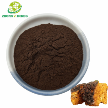 Chaga Mushroom Extract Powder