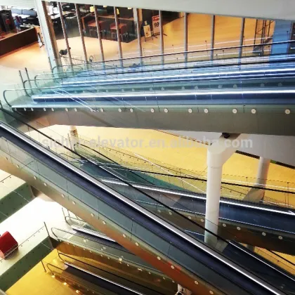 popular china root elevator moving walks