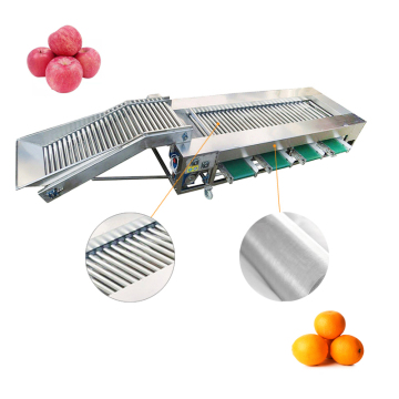 304 Stainless Steel Roller Sorting Machine for Cherry Tomato Grading