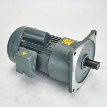 Taili 750W 1HP Single Phase Vertical Gear Reduction Asynchronous Motor