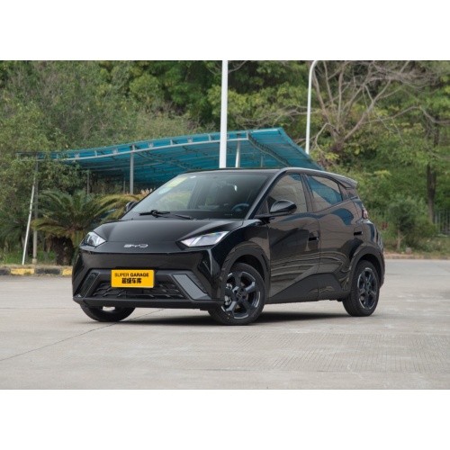 BYD Seagull 2025 Flying Edition Electric Mini Car