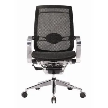 Ergonomic Chair