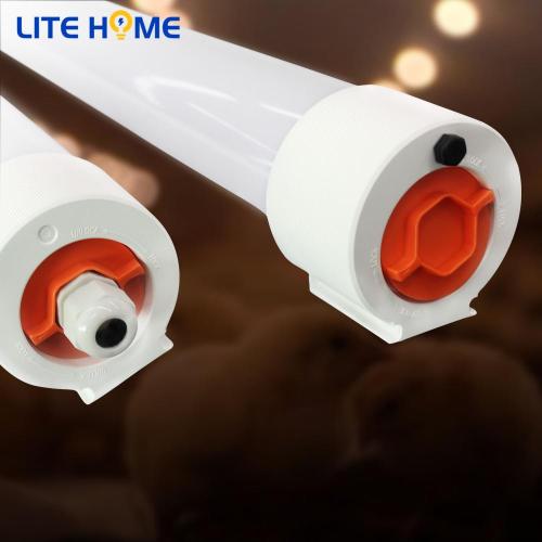 Fixation de l'éclairage de tube LED pour la ferme de volaille