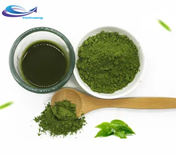 Wholesale Best Price Bulk Matcha Tea Powder