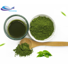 Wholesale Best Price Bulk Matcha Tea Powder