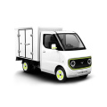 D02 van-type comfortable electric vehicle