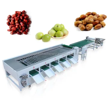 Industrial Avocado and Onion Sorting and Grading Machine