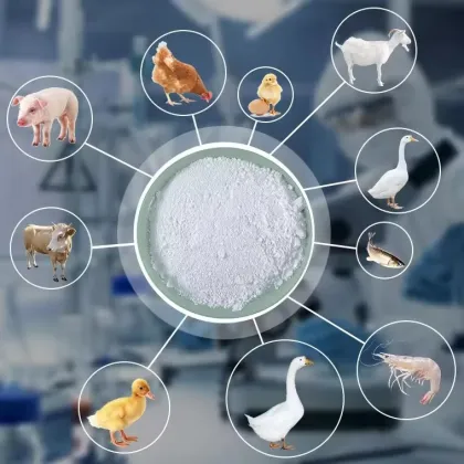 D-Calcium Pantothenate for feed