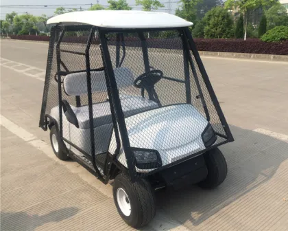 2 Seat Electric Golf Cart Ball Picker: Efficient Golf Ball Collection Solution
