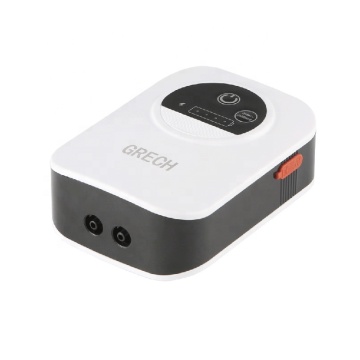 Sunsun High Quality Electric DC Air Pump