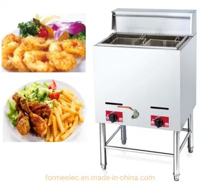 Kitchen Equipment 2-Tank 2-Basket Vertical Gas Fryer 14L*2 Free Standing Commercial Gas Fryer