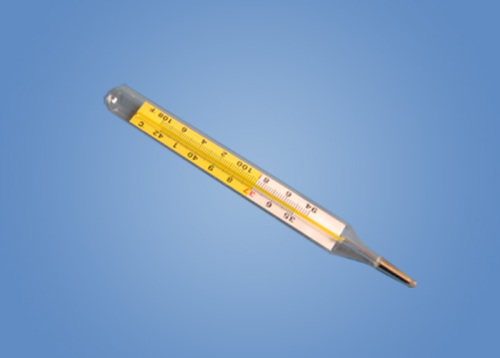 Dual Scale Flat Glass Thermometer (YT-013)