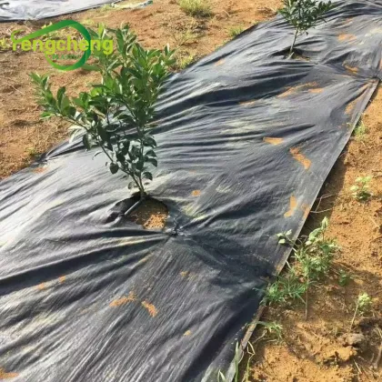 100g Black Weed Mat Ground Cover For Blueberry