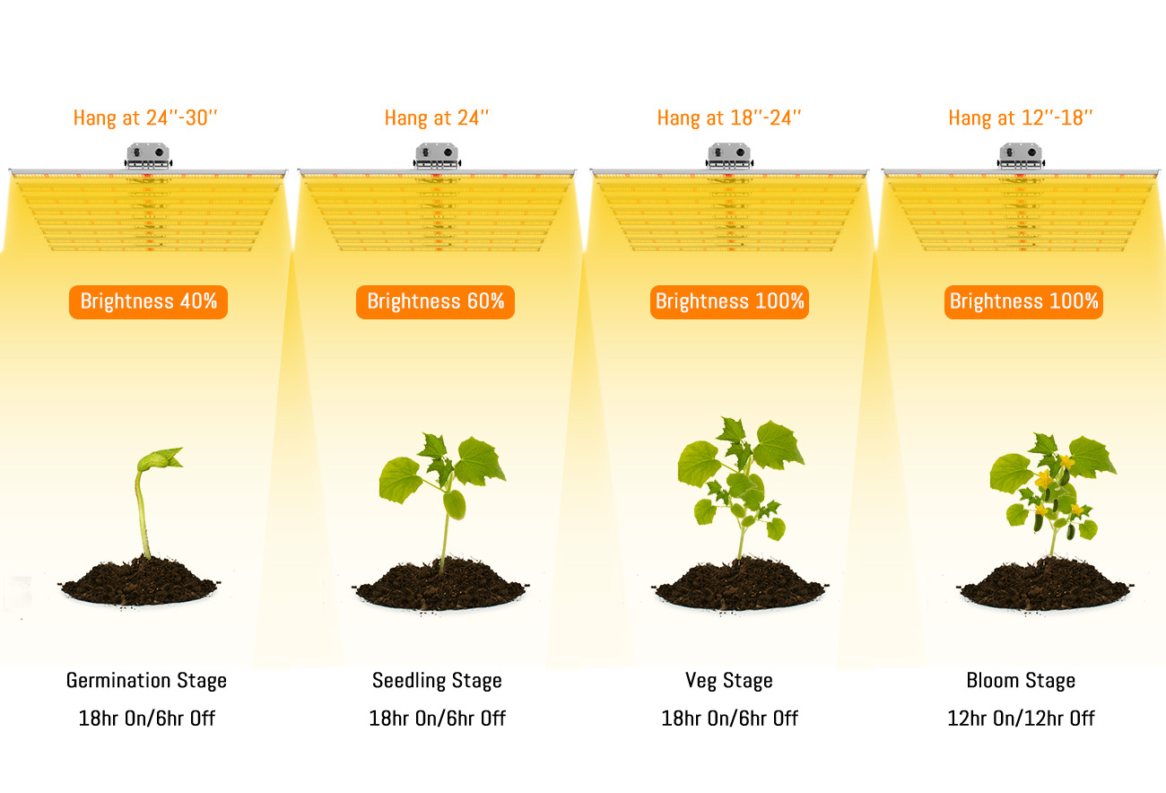 Grow Light LED