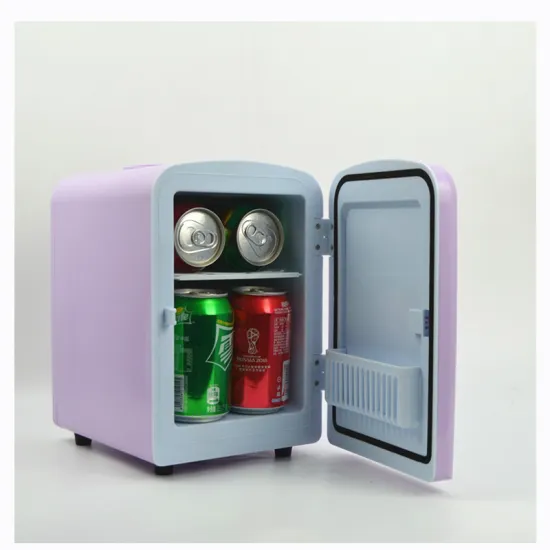 Mini Fridge Cooler Warmer For Home And Car
