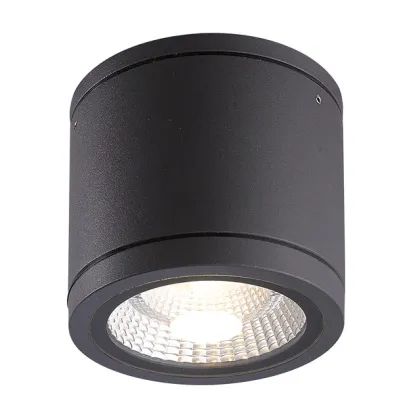 1x18W Cree LED Outdoor Ceiling Light