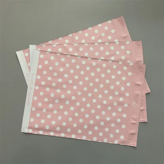 Custom Biodegradable Poly Express Parcel Bags for Clothing