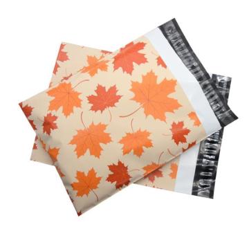 Ready-theschiff 100 Pack gemustert gedruckte Poly Mailer 10x13 für den Versand