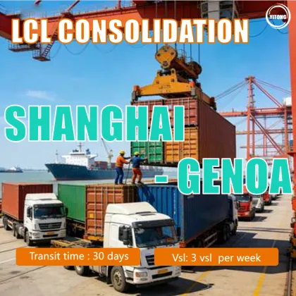 Shanghai to Genoa Italy LCL Shipping Service