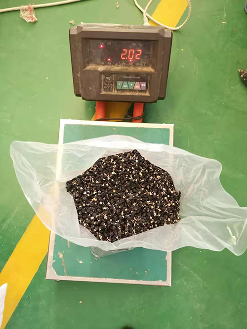 black goji berry black goji berry