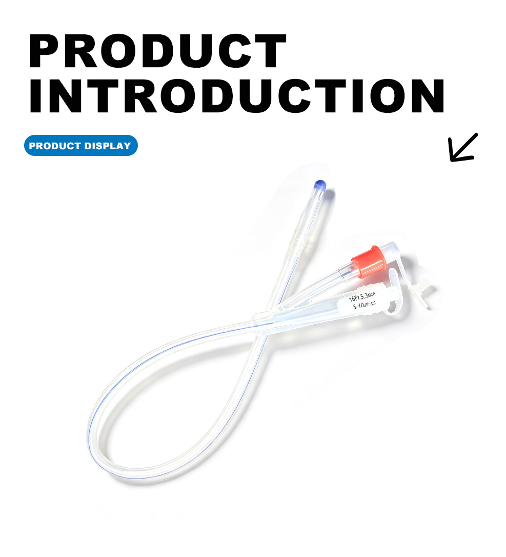 Disposable Silicone Foley Catheter (2-way Type)-x
