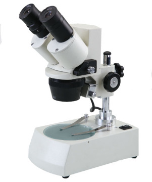 XT-3C Binocular Stereo Microscope: High-Quality Magnification for Detailed Inspection and Observation