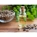 100 ٪ روغن Corainder ارگانیک طبیعی خالص