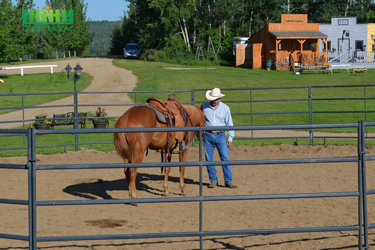 cheap horse fence panels