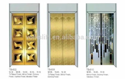 German Technology Professional Home Villa Lift/Elevator