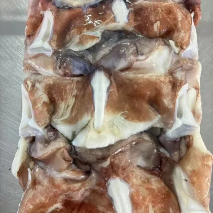 High-Quality Seafood: Peruvian Squid, Frozen Giant Squid Necks, Seafrozen Squid Neck Source