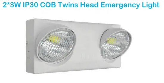 Hight Quality 2*3W Twins Spot Emergency Lamp