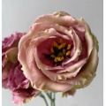 বিবাহের তোড়া জন্য প্রিমিয়াম ব্রাউন Lisianthus পাইকারি