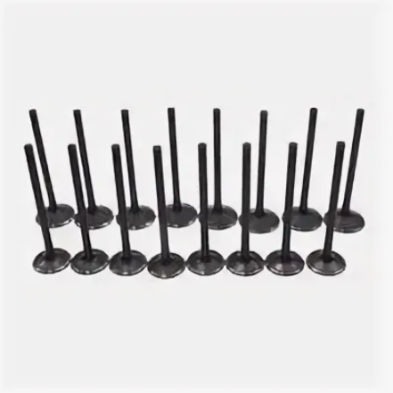 12622329 Intake Valve for Engine