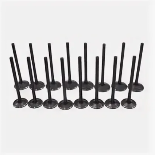 OEM Replacement Intake Valve for GM Duramax